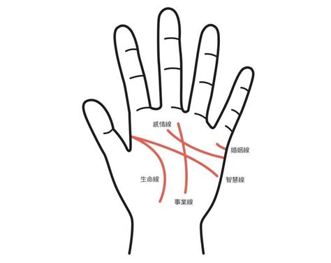 感情線上方的線|手相怎麼看？5大「感情線、事業線」手紋公式破解，。